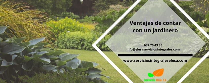 Ventajas de contar con un jardinero