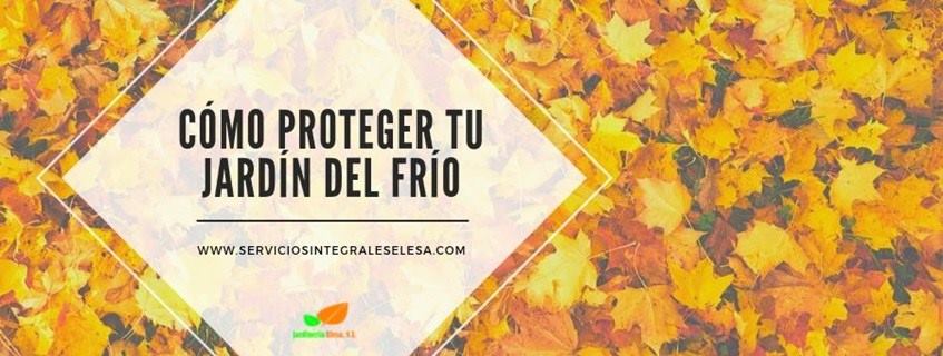 Cómo proteger tu jardín del frio