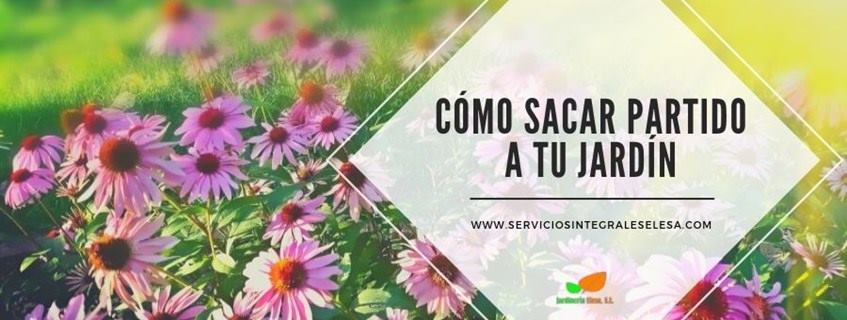 Cómo darle vida a tu jardín después del invierno